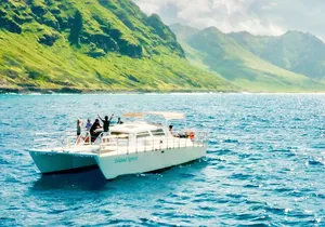 Private Cruise Swim with Dolphin