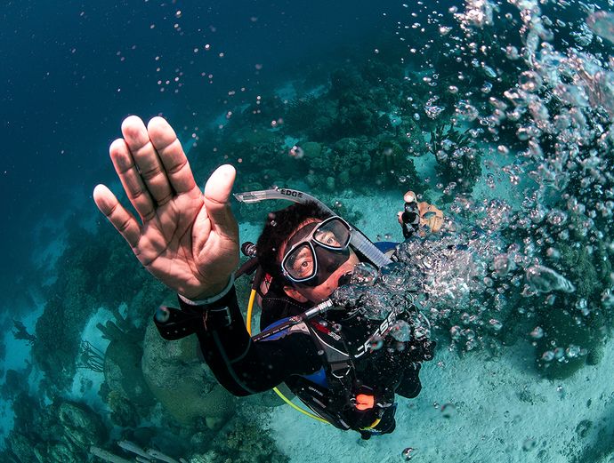 Key West Morning 2-Tank SCUBA Dive Image 3
