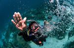 Key West Scuba Diving Refresher Course Image 1