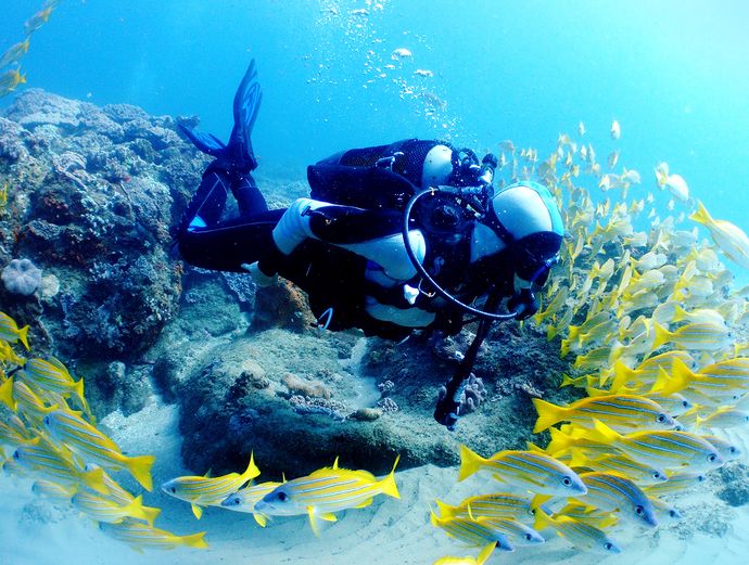 Key West Scuba Diving Refresher Course Image 3