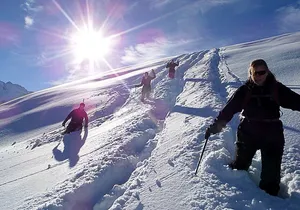 Scenic Snowshoe Adventure in South Lake Tahoe, CA