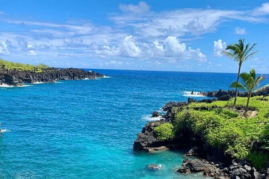 Rainforest Tour to Hana and Beyond