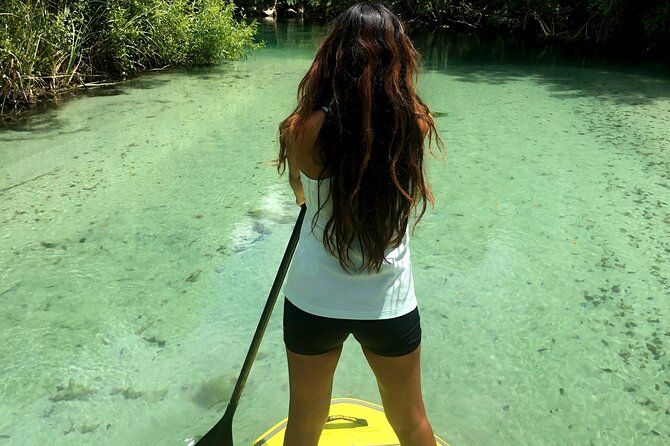 Nature and racoon island Paddle Boarding Experience in Miami