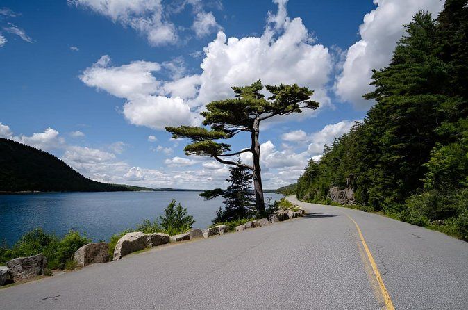 4-Hour Private Acadia Tour Cadillac Mountain & Somes Sound Fiord