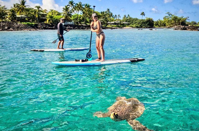 Private Stand Up Paddle Boarding Tour in Turtle Town, Maui