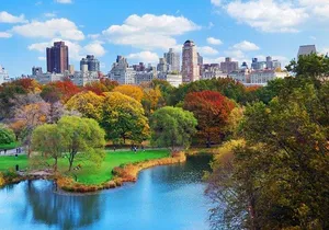 Private Walking Tour of New York City for Groups