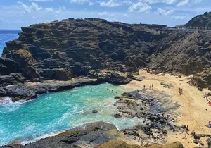 Oahu Island Experience feat the North Shore (Small Group Tour)