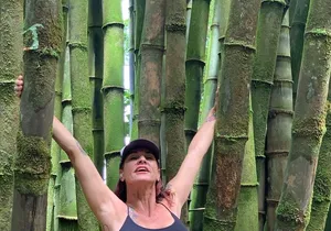 Maui Magical Waterfall and Jungle Tour: Road to Hana