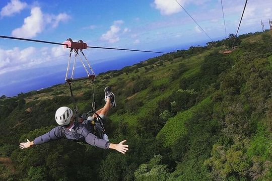 4 Dual-Zipline Mountain Adventure in Maui