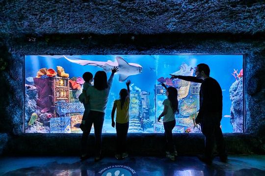SEA LIFE New Jersey Admission Tickets at American Dream