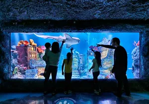 SEA LIFE New Jersey Admission Tickets at American Dream