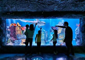 SEA LIFE New Jersey Admission Tickets at American Dream