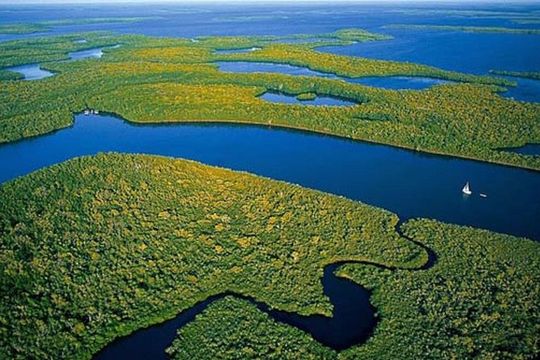 Private 4 Hour Everglades Tour Experience in the Wilderness