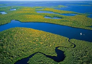 Private 4 Hour Everglades Tour Experience in the Wilderness