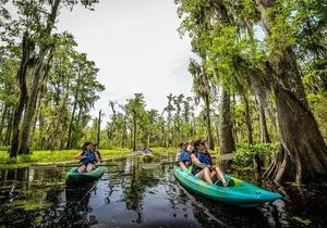 Small-Group Manchac Swamp Kayak Tour with Local Guide