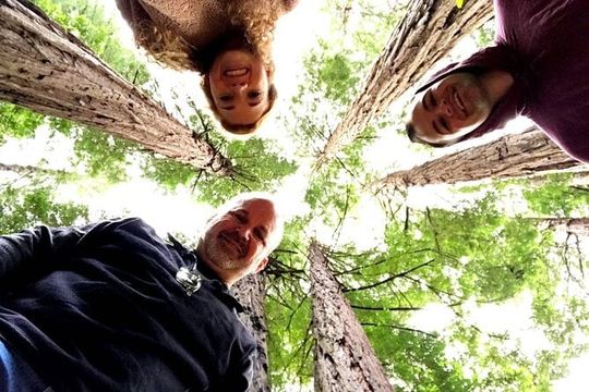 San Francisco & Muir Woods Full Day Small Group Private Tour