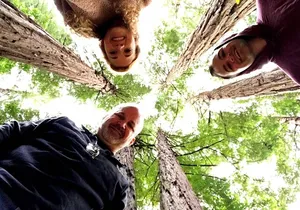 San Francisco & Muir Woods Full Day Small Group Private Tour