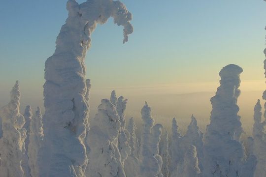 Arctic Circle Winter Drive Adventure