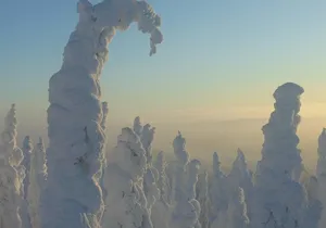 Arctic Circle Winter Drive Adventure