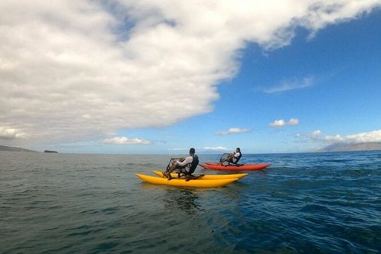 Water Bike Tour in South Maui