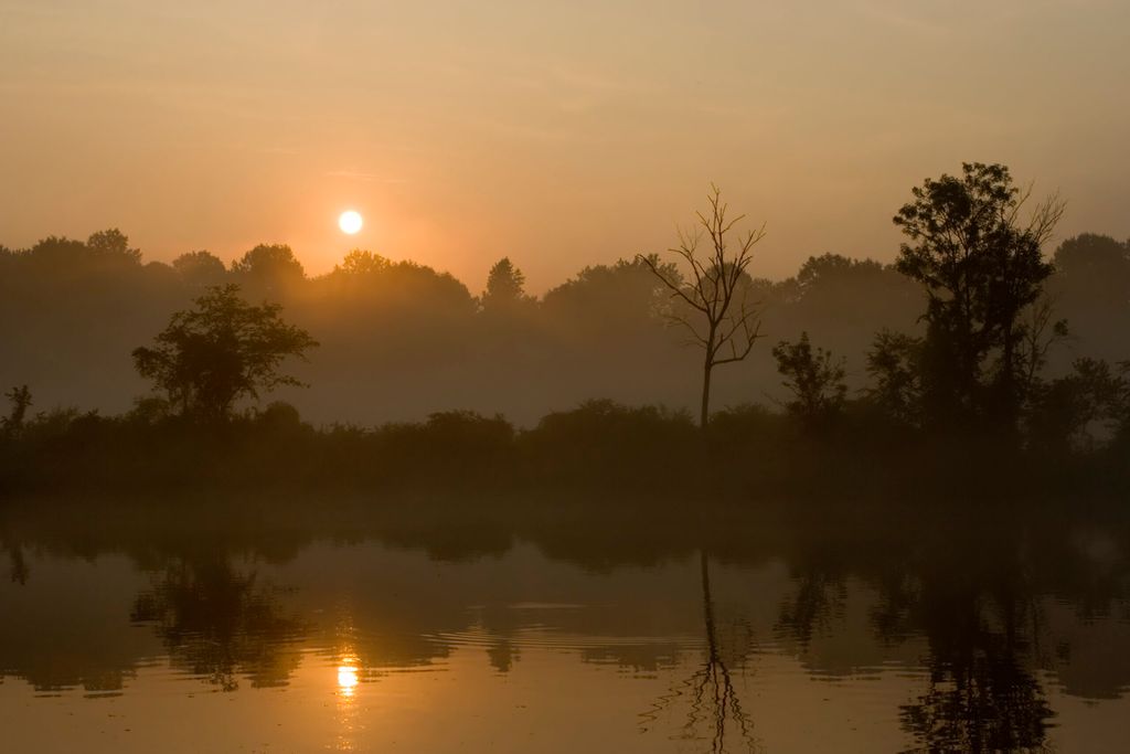 Golden Isles