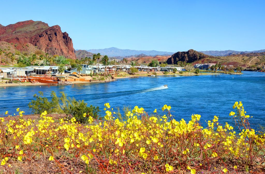 Lake Havasu