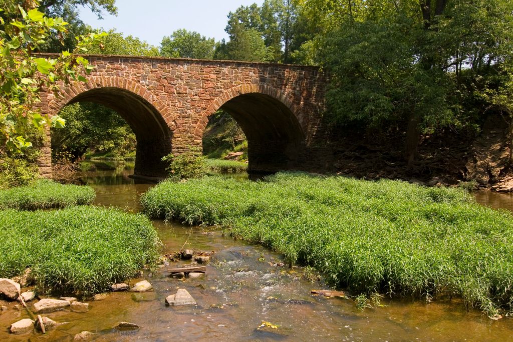 Manassas
