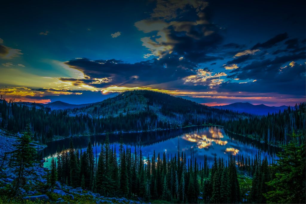 McCall