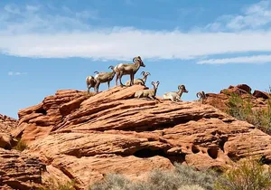 Valley of Fire Guided Tour from Las Vegas