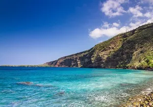 Small-Group Snorkel at Kealakekua Bay in Captain Cook, Big Island