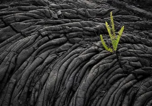 Day Trip from Oahu to Hilo: Active Volcanoes & Helicopter Tour