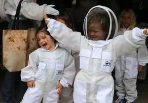Private 2-Hour Beekeeping Classroom Tour in Honokaa