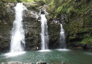 PRIVATE Road to Hana Tour