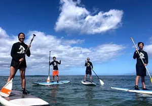 Semi Private Stand Up Paddle Boarding (SUP) Class at Kalama Beach in Kihei