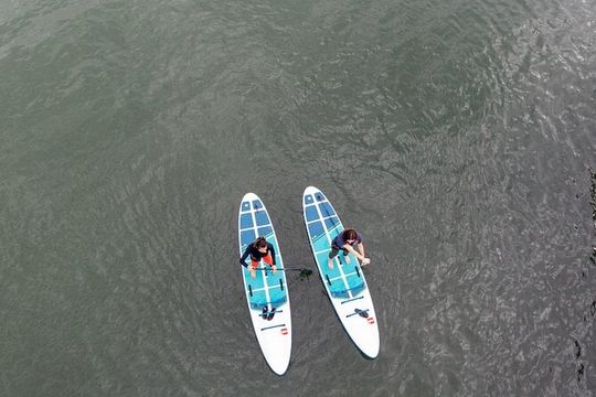 Learn to Paddle Board on the San Francisco Bay!