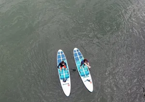 Learn to Paddle Board on the San Francisco Bay!