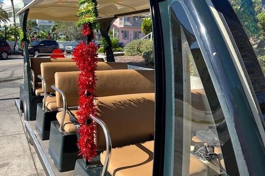 St Augustine Shared Golf Cart Tour