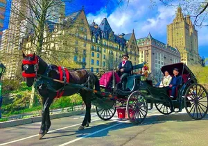 VIP Central Park Experience Tour with photos 50min~Skip the line