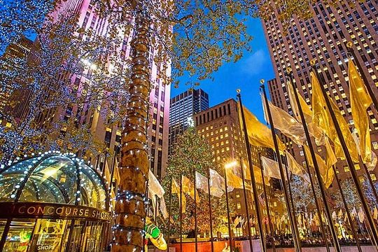 NYC Central Park & Rockefeller Center Private Horse Carriage Tour