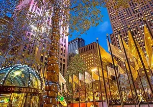 NYC Central Park & Rockefeller Center Private Horse Carriage Tour