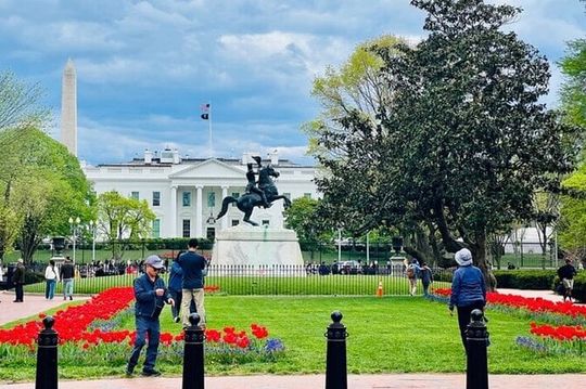 VIP Private Tour of Washington DC