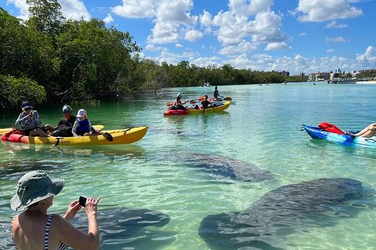 Guided Island EcoTour: CLEAR/Standard Kayak, SUP - Bonita Springs