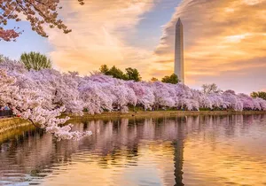 Full Day DC: City Bus Tour, Seasonal Boat Cruise, Entry Tickets