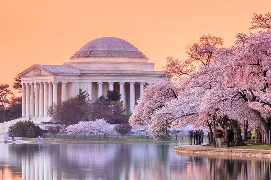DC City Tour with Seasonal Cruise and Optional Attraction Tickets