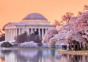 City Bus Tour, Seasonal Cruise, Optional Air & Space or Monument