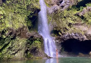 Epic Waterfall Adventure, the Best of Maui