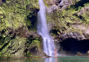 Epic Waterfall Adventure, the Best of Maui