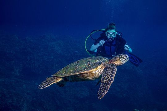 Discover Scuba Diving Class from Lahaina