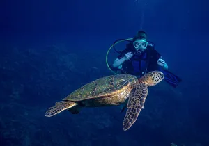Discover Scuba Diving Class from Lahaina