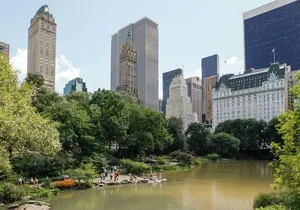 Central Park and 5th Avenue Walking Tour